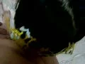 龚玥菲新金甁梅剧照